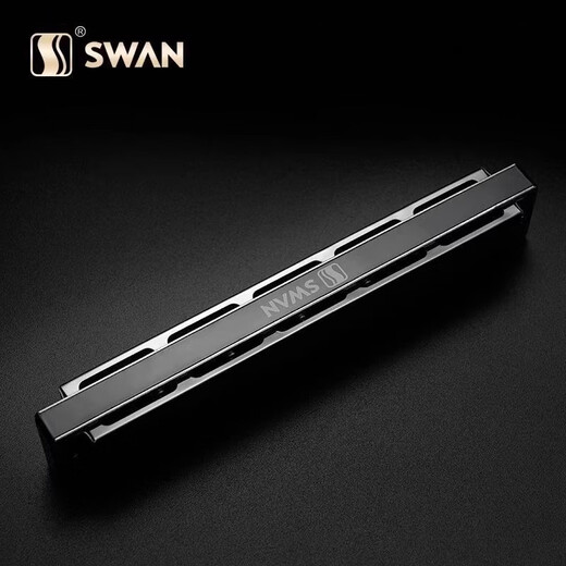 Swan Ring importé 24-hous Polomonie harmonique c-tune avancé Adult Performance Professional Instruments Gifts Instrument [performance professionnelle] C-Tune polyphonique en argent à 24 trous