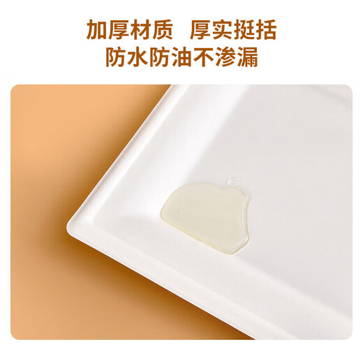 Youao disposable plates square 8 inches (pack of 20) large biodegradable paper plates outdoor barbecue tableware no wash
