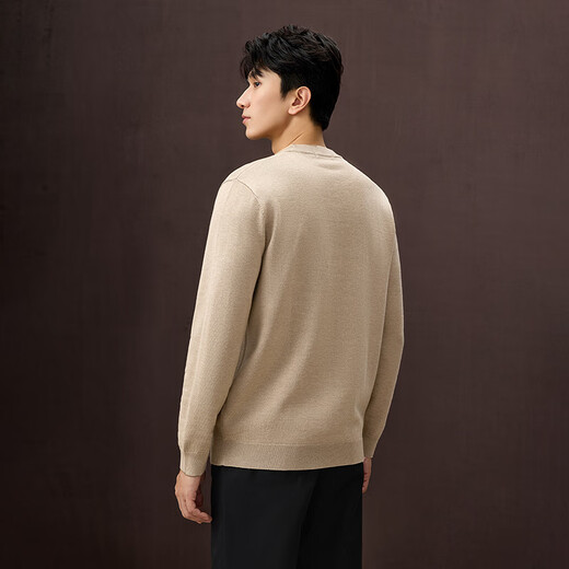 HLA Hai Lan House sweater men's 25 light business fashion solid color warm sweater men's autumn