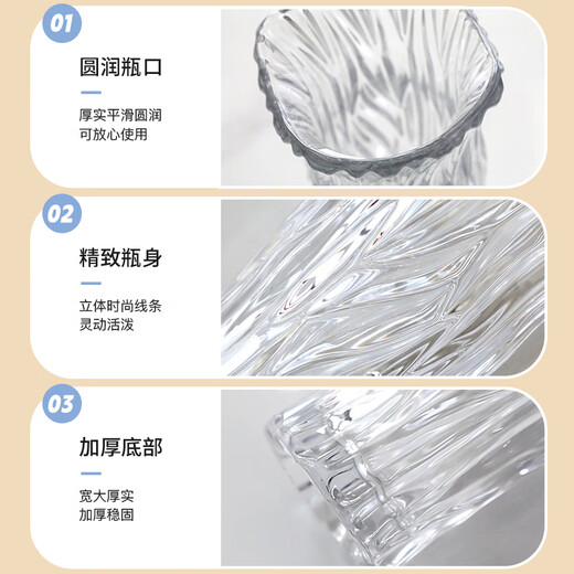 Cuttlefish vase light luxury glass height 22cm large diameter transparent ornament tulip rich bamboo cultivation container New Year's Day gift