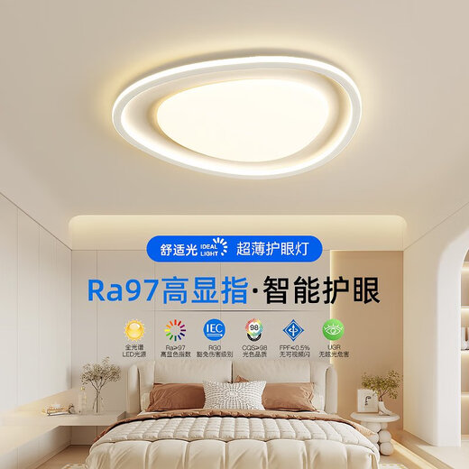 箭牌现代卧室灯鹅卵石房间灯创意极简主卧吸顶灯2024新款中山灯具 3W 全光谱RA9738CM/三色分段/36W