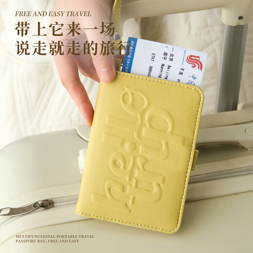 WCZ Deutschlands High-End-Pass All-in-One-Karten-Beutel-ID-Aufbewahrungsbeutel Tragbarer Reise-ID-Kartenschutzkartenabdeckung Millennium Future Silver-Pass Bag