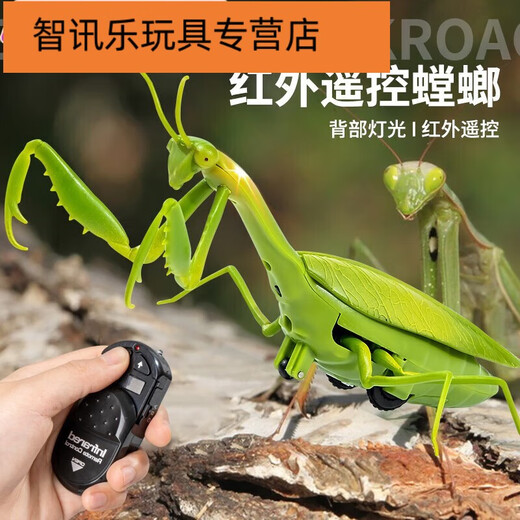 山头林村遥控螳螂电动玩具整蛊神器蟑螂男孩会动的蜘蛛爬行小动物 遥控螳 [经典版-遥控蜈蚣]黄黑款9901
