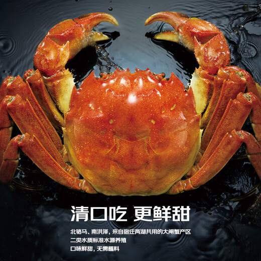 Live crabs, Suyu Senxiang, fresh hairy crabs, whole female crabs, 2.2-2.5 taels/piece, 8 pieces in total, ropeless and heavy, crabs, river crabs gift box