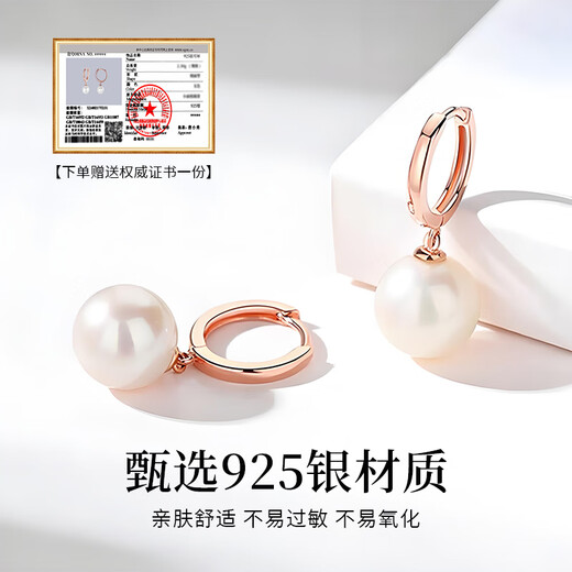 Chinese jewelry sterling silver freshwater pearl earrings for women 2025 new light luxury earrings anniversary birthday gift for girlfriend