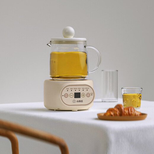 Little Pumpkin 2025 new all-glass health pot stew all-in-one teapot small office health cup boil water standard 0.5L scheduled appointment anti-paste/anti-dry burning