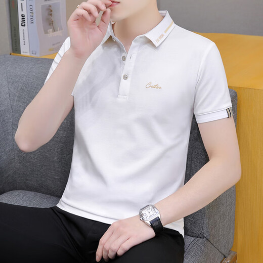 简丹柔25款广东普宁男装大码冰丝短袖polo衫东莞虎门山东即墨T恤夏季清 白色679款 M 85-100斤