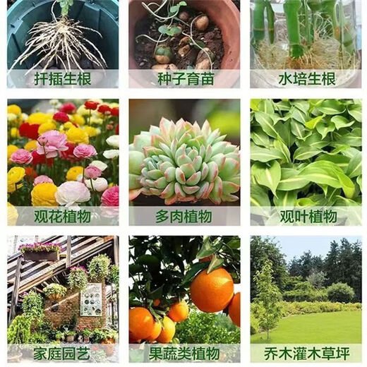 Powerful Rooting Powder Rapid Rooting and Seedling Strengthening Agent Rooting Powder Rapid Rooting Powerful Rooting Liquid Rooting Powder for Transplanting Rooting Powder 1Jin Jin is equal to 0.5kg, 3 packs