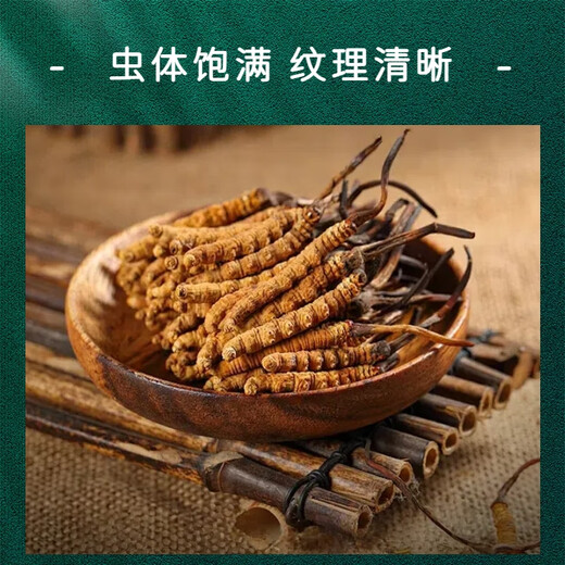 Beijing Tongrentang Pangdonglai Tonglai Cordyceps Cordyceps Boîte-cadeau Tonic Cordyceps Box cadeau King Produits nutritionnels Matériaux médicinaux toniques 50 Boîte-cadeau (Spécifications 3 tiges par gramme)