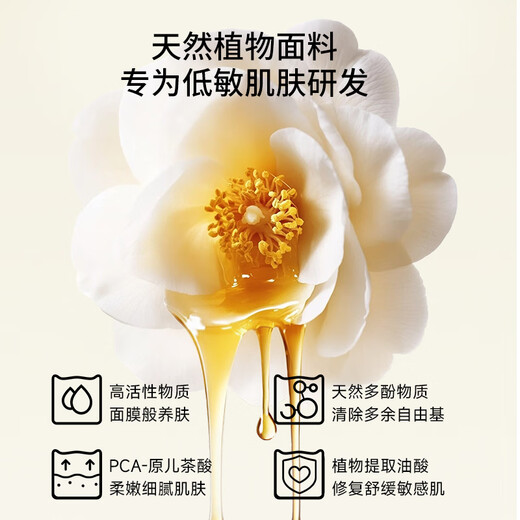 MiiOW 10A Antibacterial Liquid Foundation Underwear Summer Thin Women's Seamless Underwear Bra Small Breasts Push Up No Empty Cup Bra