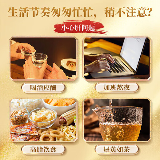 Beijing Tong Ren Tang Oso Bilis Polvo Oro Polvo 0.25g Oficial Auténtico Medicina Nacional Estándar OT Oro Bilis Grado Medicina Rey Grado Oro Púrpura Oso Bilis Polvo Higado liofilizado Protector y nutritivo Tc Medicina herbaria china Piezas 4 Cajas 0.25g * 28 Botellas + Tres Regalos Paquete de tratamiento de caja de regalo grande