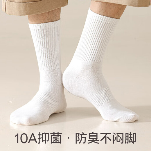 Baumwollsocken Herren-Langrohr Spring und Herbst [100% reines Baumwoll 10A Antibakteriell und geruchsdicht] Sportstilstrümpfe Lange Röhrchen 5 Paare