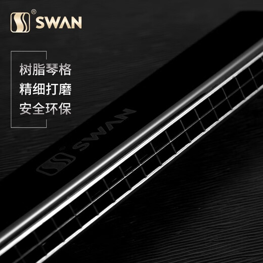 Swan allemand Cherry Swan Swan 28 trous Accent harmonica for adulte Professional Performance débutants Disque haut de gamme à 24 trous [cadeau haut de gamme] Disque Black + Accompagment U