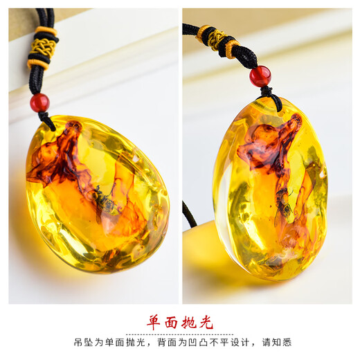 Qutao real live insect specimen amber pendant for men and women creative personality scorpion spider butterfly necklace bag trailer hanging jewelry 01# Spotted wax cicada