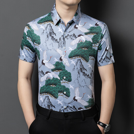 Uston Paul Short à manches manches masculines Été Nouveau chasure à grande taille décontractée de grande taille Silk Silk Screaming Fashion Floral Free Iron Top Men 6630 Gray L Recommandé 120-135Jin [Jin est égal à 0,5 kg]