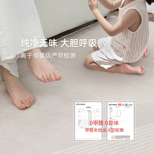 像素地毯客厅2025新款轻奢感沙发地垫免洗可擦家用防水卧室厚天津 清蔷-13566 240cm*400cm [定制]