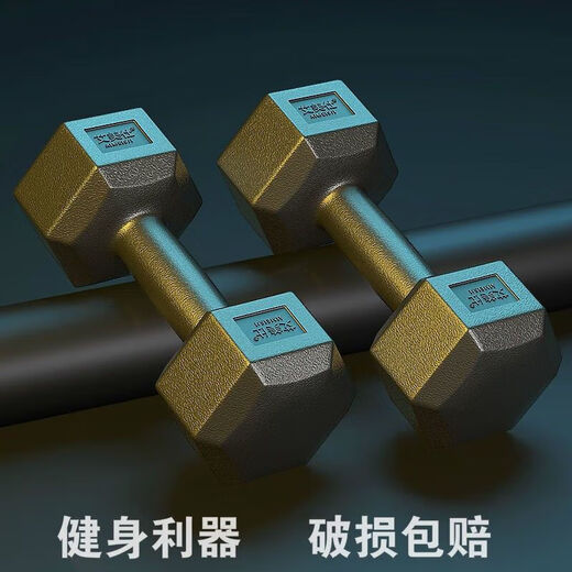 Zhizhou hexagonal dumbbell men's fitness student 2kg 5kg household 10kg rubber-coated arm training female fitness equipment total weight a pair 12Jin Jin equals 0.5kg (6Jin Jin equals 0.5kg *2 pieces)