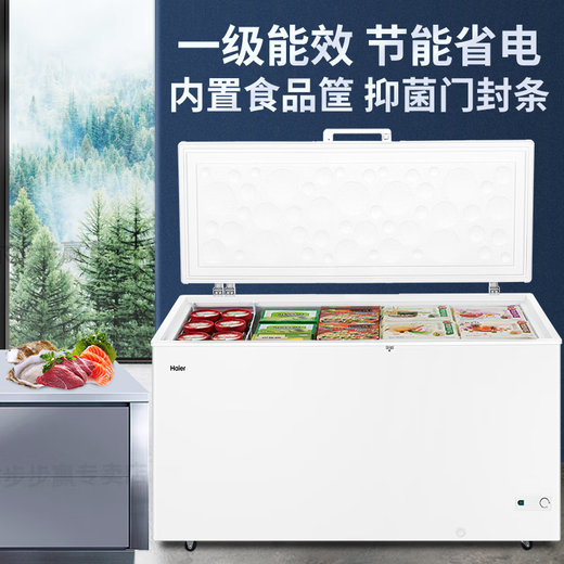 海尔（Haier）冰柜商用大容量冷冻柜鸡鸭鱼速速冻柜超市火锅店冷藏柜水果生菜保鲜柜低温卧式冷柜冻柜 519升 约装674斤【-26℃ 减霜80%】