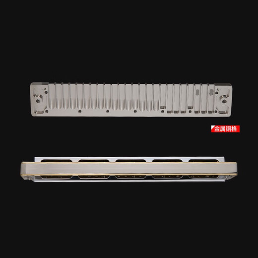 Japan TOMBO Tongbao 6624S customized copper grid version 24 hole student playing polyphonic harmonica G tune