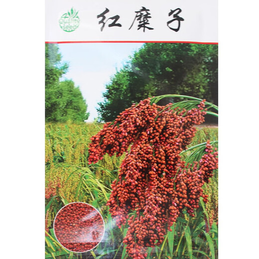 Красный клейкий рис, липкие семена ревеня, метлы, семена проса, семена проса в оболочке, клейкий рис, мягкий рис, рисовые клецки, весеннее, красное просо/50г, красный липкий рис 1 пакетик