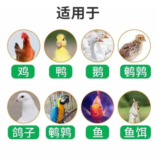 Chick feed high protein nutritional material medium large chicken egg cub feed wholesale feed manufacturer direct sales duck and goose general broken small particles 5Jin Jin is equal to 0.5 kg