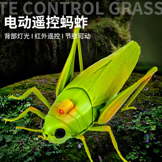 Chisen remote control electric grasshopper simulation toy model children's creative little boy and girl intelligent children's toys classic version - remote control ladybug red 9922+ snail upgraded version with another 24 electronics