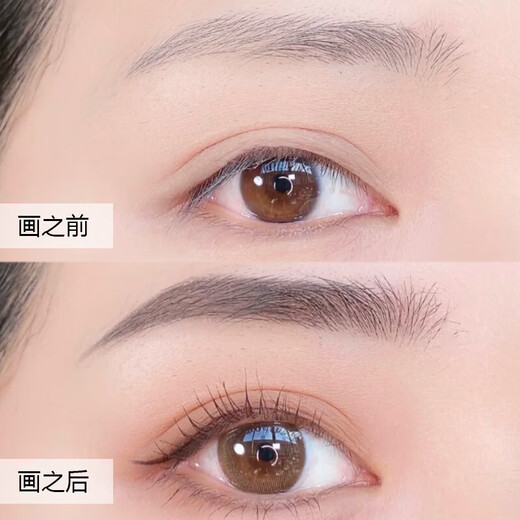 Shiseido Hexagonal Eyebrow Pencil Gray 1.2g*2 Waterproof, Sweat-proof and Fadeless Eyebrow Pen Cosmetics Girl Birthday Gift