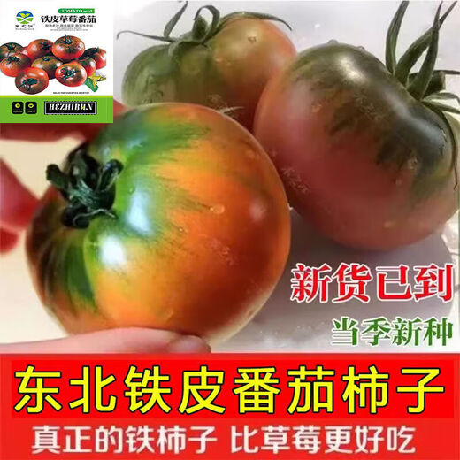 Qili Authentic Fruit Strawberry Tomato Seeds Super Sweet Tiny Tomato Seeds Balcony Field Spring and Autumn Planting Tiny Strawberry Tomato Seeds 1 Pack/100 Spread