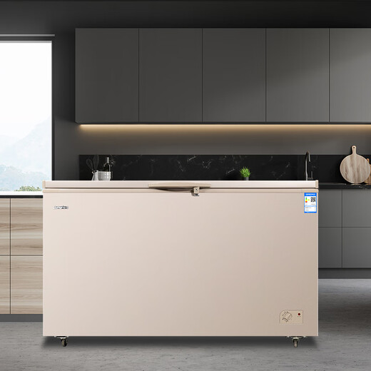 
Baixue BAIUE commercial freezer large capacity refrigerator freezer integrated space 341/519/778/830/1050L 341D gold (1289*645*895)