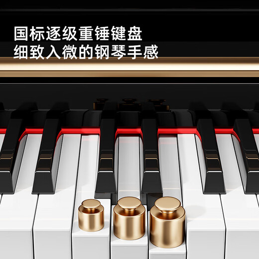 Betsy Electric Piano Heavy Hammer 88 Keys Adult Beginner Upright Electronic Piano B391 Low Box Glossy Black-Solid Wood Keyboard