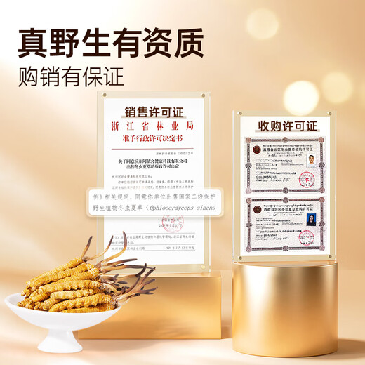 Ayishe Tibet Naqu groß gebrochene Cordyceps 10 Gramm Authentische wilde Cordyceps Ernährungszucker Zucker Ernährungsprodukte für Eltern und Älteste