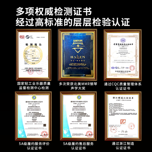 Hailun Electric Piano H305 Elegant Black Graded Heavy Hammer 88 Keys Original Steel Tone Home Intelligent Children Beginner Grade Examination