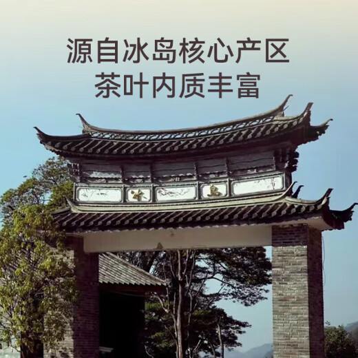 顶茶师冰岛小方片8g尝鲜云南生普洱茶方格茶2020年生茶一袋一泡严选头春