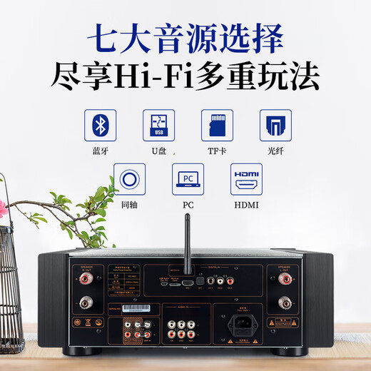 天逸（Winner）AD-86D合并式HIFI解码功放机发烧级立体声高保真HIFI组合蓝牙功放机 AD-86D（店铺热卖款）
