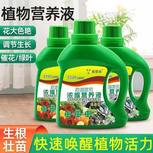Nutrient solution plant universal flower fertilizer fortune tree rich bamboo green dill hydroponic potted household flower flower fertilizer universal nutrient solution 500g 3 bottles