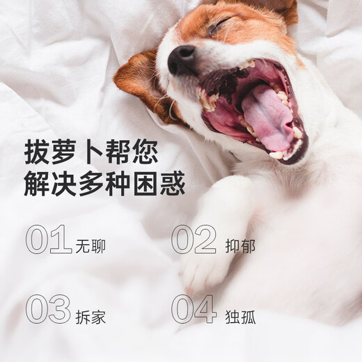
Qia Ran Japanese pet toys small dogs and dogs hide food cats physically consumed and relieve boredom. SN9855 [Super cute] Pull radish 12+1 sound radish