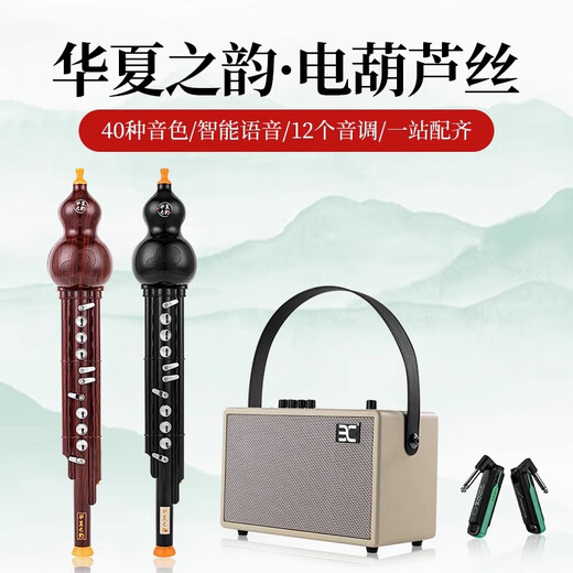 CHINE RHYME HUAXIA ELECTRIC HULUsi Musical Instruments Domestic Electronic Blow Tube Hulusi Electronic Electric Electric SA Instruments de musique débutant Nouveau type Hulusi-Blue et Porcelaine blanche