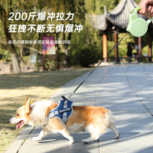 Dog leash, dog leash, automatic retractable small and medium-sized dog pet Shiba Inu puppy corgi dog leash, telescopic traction, enhanced anti-explosion, 5M color matching, single telescopic leash
