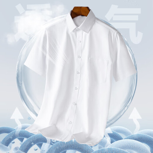 罗蒙（ROMON）夏季短袖衬衫男士冰丝薄款竹纤维白衬衣职业正装商务半袖上衣男装 DX6625 42 125