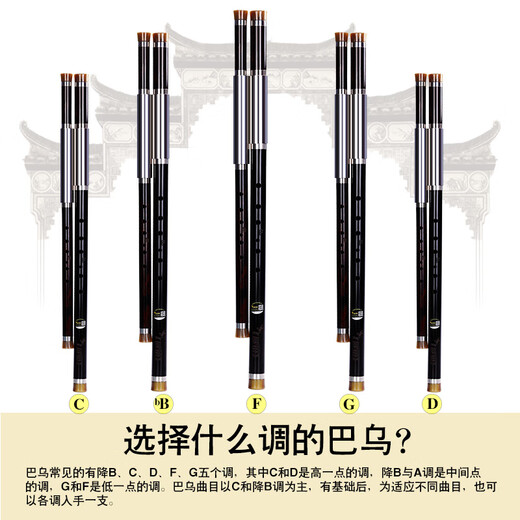 欧铂乌木横吹巴乌乐器旗舰店c调降bdfg调双管高级品牌成人专业演奏级 乌木双管F/降B调
