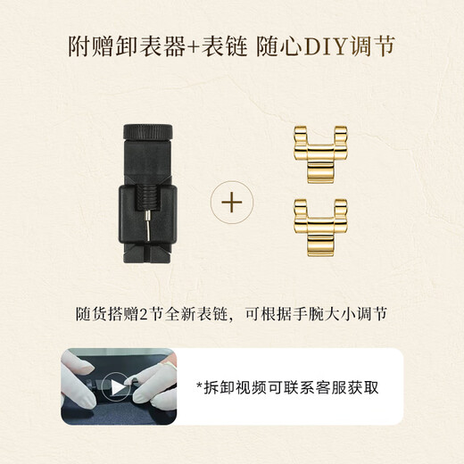 FIYTA star's same style small gold watch bamboo chain dark brown plate retro ladies watch New Year's Day gift for girlfriend