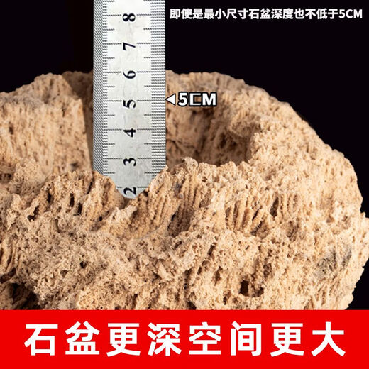 Absorbent stone flower pot, natural strange stone, absorbent stone, water-absorbing stone, raw stone stone pot, calamus succulent potted plant, bonsai micro-scape, 10-12cm stone pot + round base + grass seeds