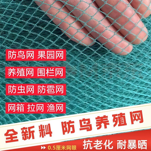 Orchard fruit tree anti-bird net fish pond breeding net chicken net fence protective net nylon fishing net anti-hail net knotless net 1 meter wide X 6 meters long 0.5 cm hole