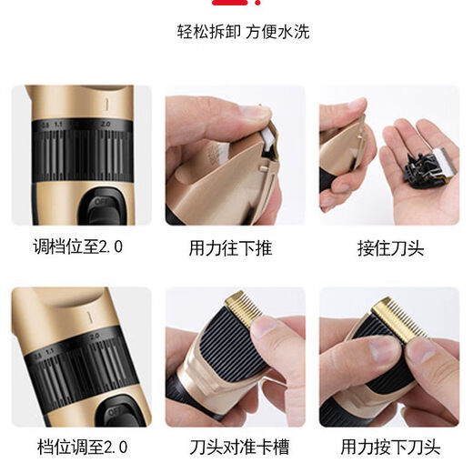 High-power pet electric clipper, dog shaver, cat Teddy grooming clipper, shaving feet, champagne gold daily set, high-power, non-stuck hair clipper