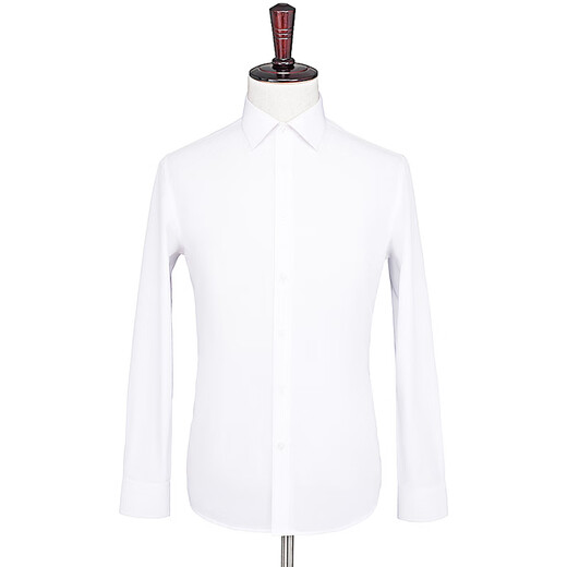 Haipaihaoyu Shirt à manches longues Molie Business Forme Formelle sans repasser Couleur solide de mariage Solide Mend Men's Wedding Top White CS3012 White L (170) [Recommandé 116-125jin [Jin est égal à 0,5 kg]]]