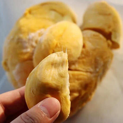 东来甄选马来西亚D200黑刺榴莲自然树熟液氮锁鲜礼盒装送人送长辈顺丰冷链 甄选【保5房】当季新果5.1-5.5斤