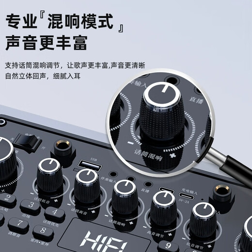 山水G205S音响功放一体机2025新款全新升级家用户外便携手提式直播声卡大功率广场舞音响无线蓝牙音箱 山水G205S旗舰版【配音响包】