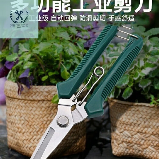 LNGA LANDGRE powerful electrician scissors, industrial grade iron scissors, household multifunctional keel trunking cable shears, fruit picking scissors, multifunctional upgraded version of industrial scissors with green handle (without saw, 1 set)