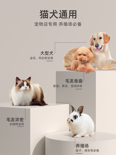 Oaks (AUX) Teddy shearing artifact pet electric clipper dog shaver electric clipper special hair pusher for shaving dog hair. Special for Teddy. Upgraded to 120min battery life and waterproof. Jane