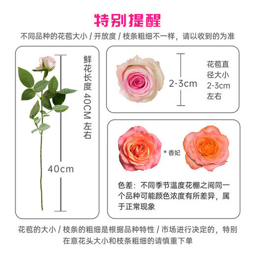 Jingdong Flowers Double 11 Yunnan Kunming base random color roses buy 20 and get 10 free with grass and flowers straight from the source